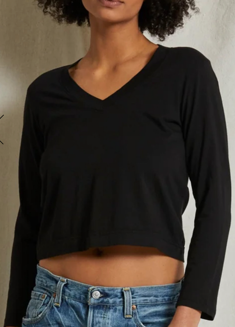 Sinatra Vneck Cropped