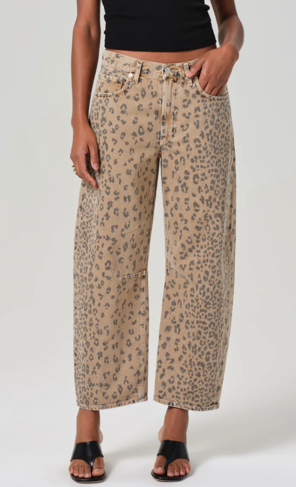 Miro Cheetah