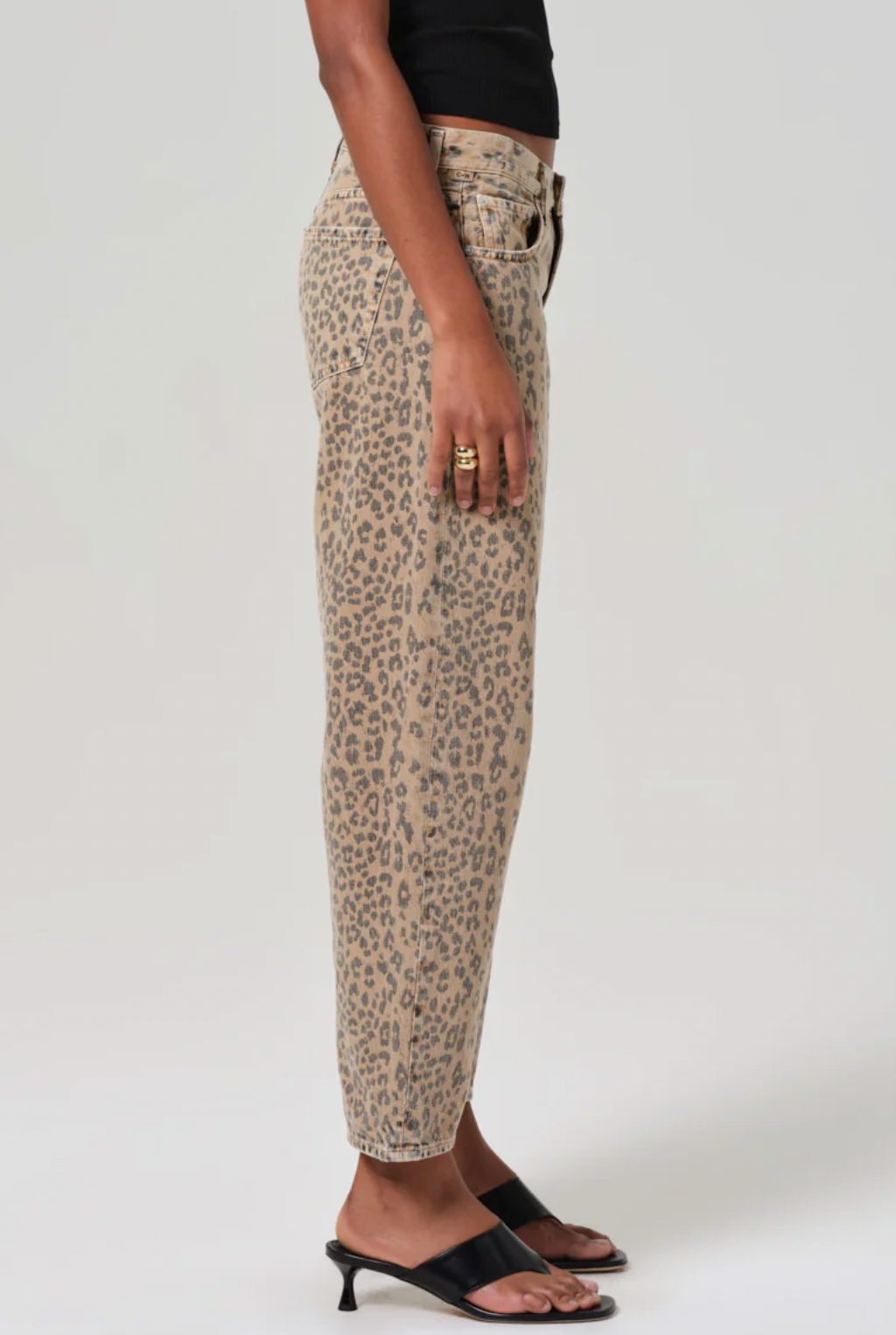 Miro Cheetah