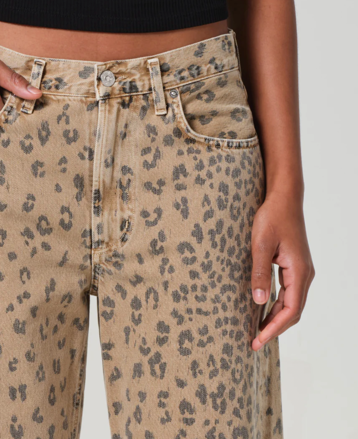 Miro Cheetah