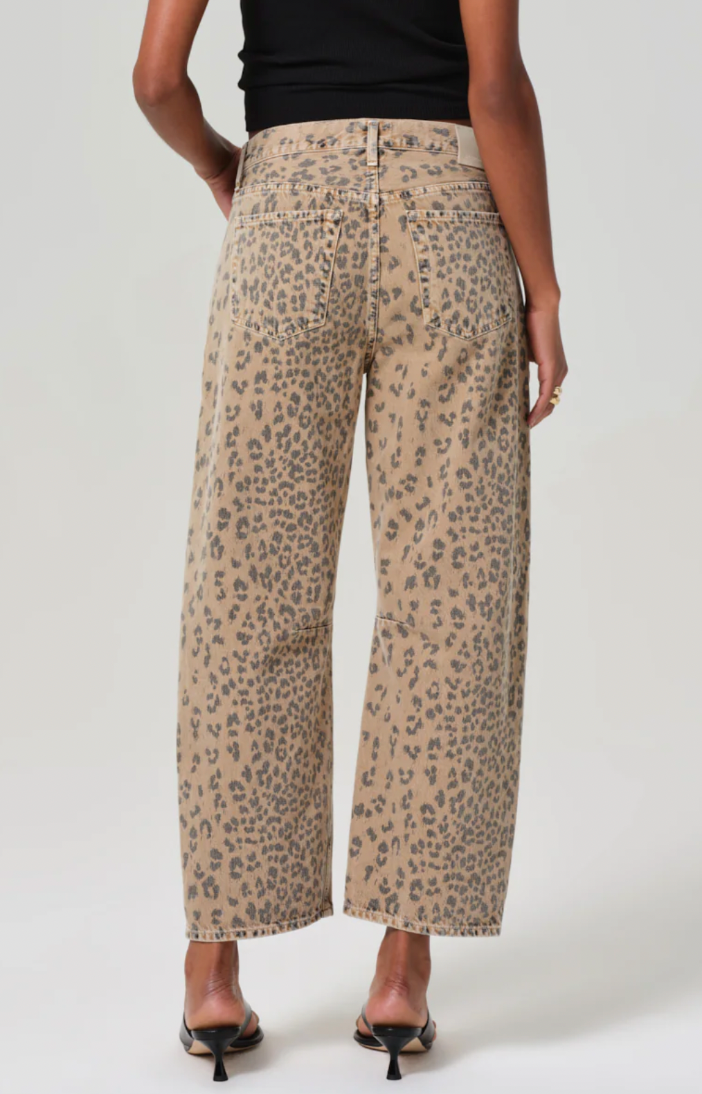 Miro Cheetah
