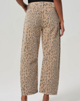 Miro Cheetah