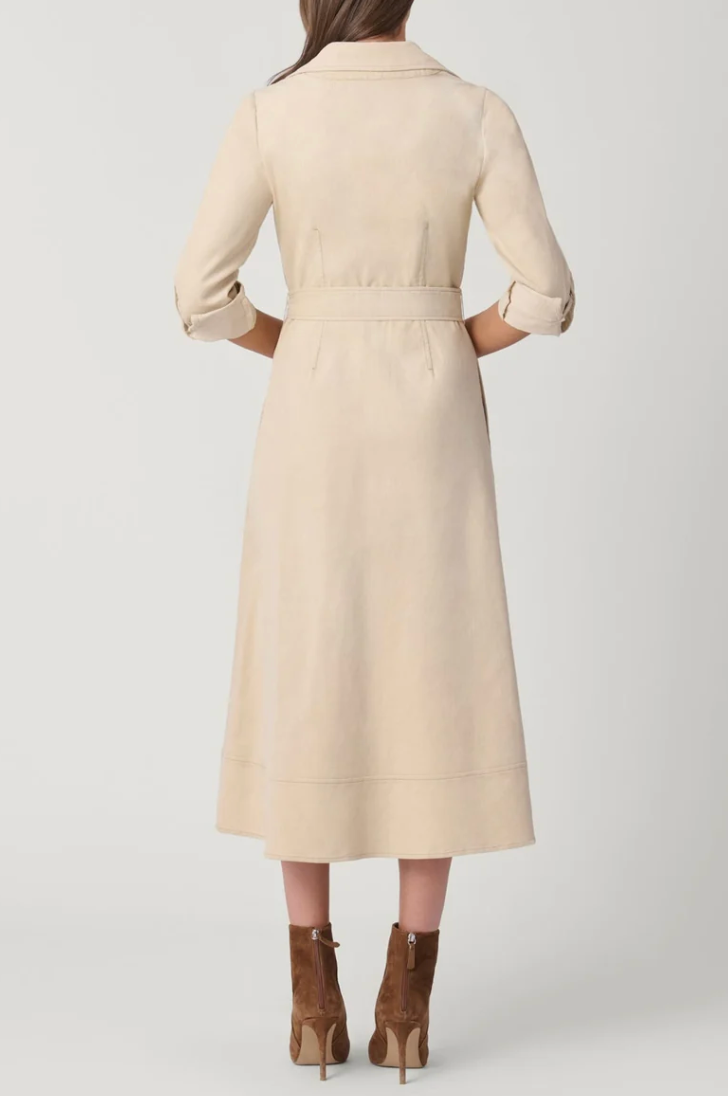 RAINE DRESS